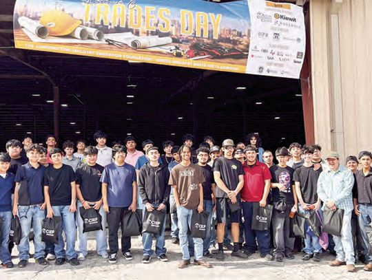 Professional experience for P-TECH Professional experience for P-TECH