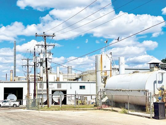 ROTTEN STENCH STIRS FIGHT