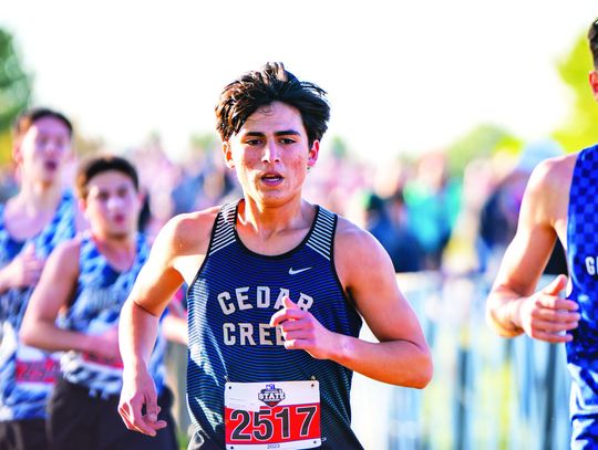 Two area runners compete at state meet