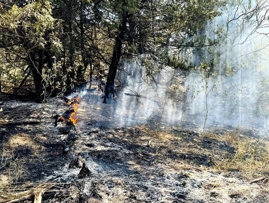 Volunteers halt repeat burn