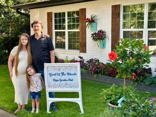 Water-wise lawn care tips for summer