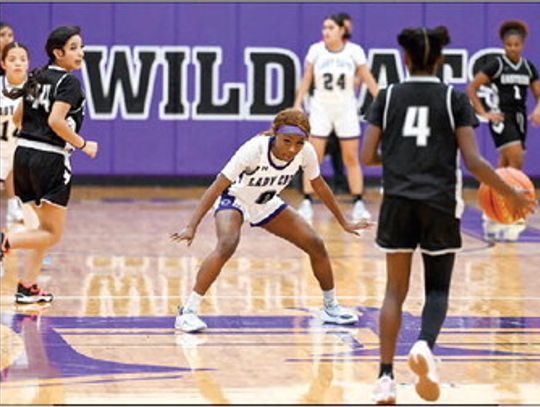 Wildcat basketball season preview
