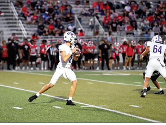 Wildcats beat Cardinals in low-scoring battle