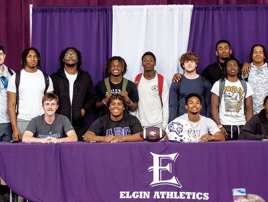 Wildcats celebrate signing day