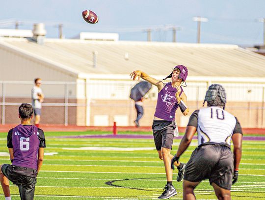 Wildcats eye sophomore at starting quarterback