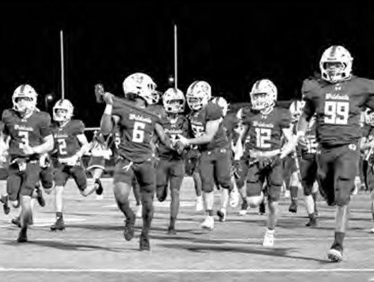 Wildcats see 19 named all-district