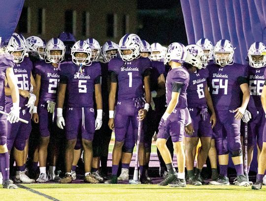 Wildcats see growth through summer competition