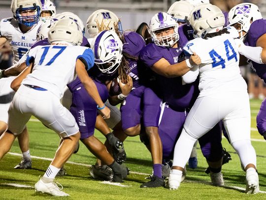 Wildcats tamed by Knights