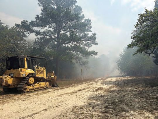 Wildfire scorches 13 acres