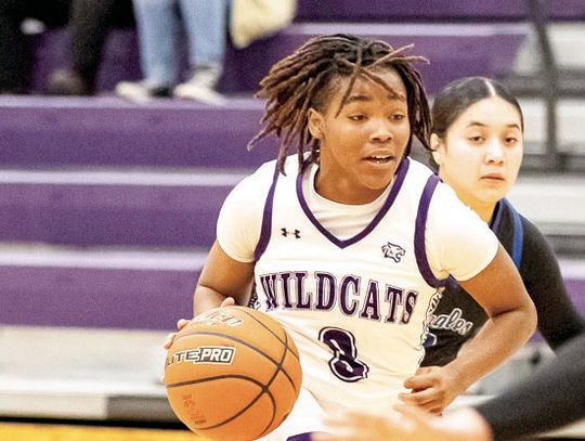 Williams to play D1 with the Larks