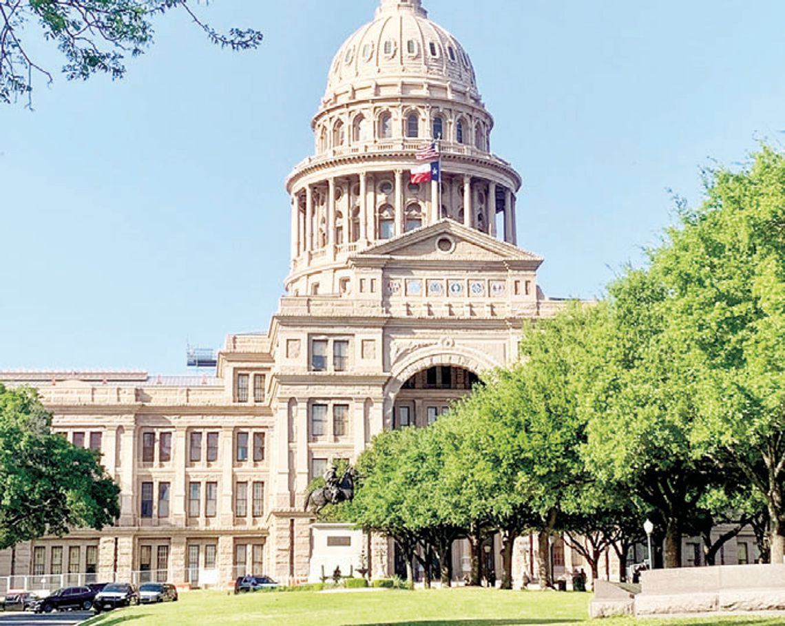 Abbott launches Elgin finances probe