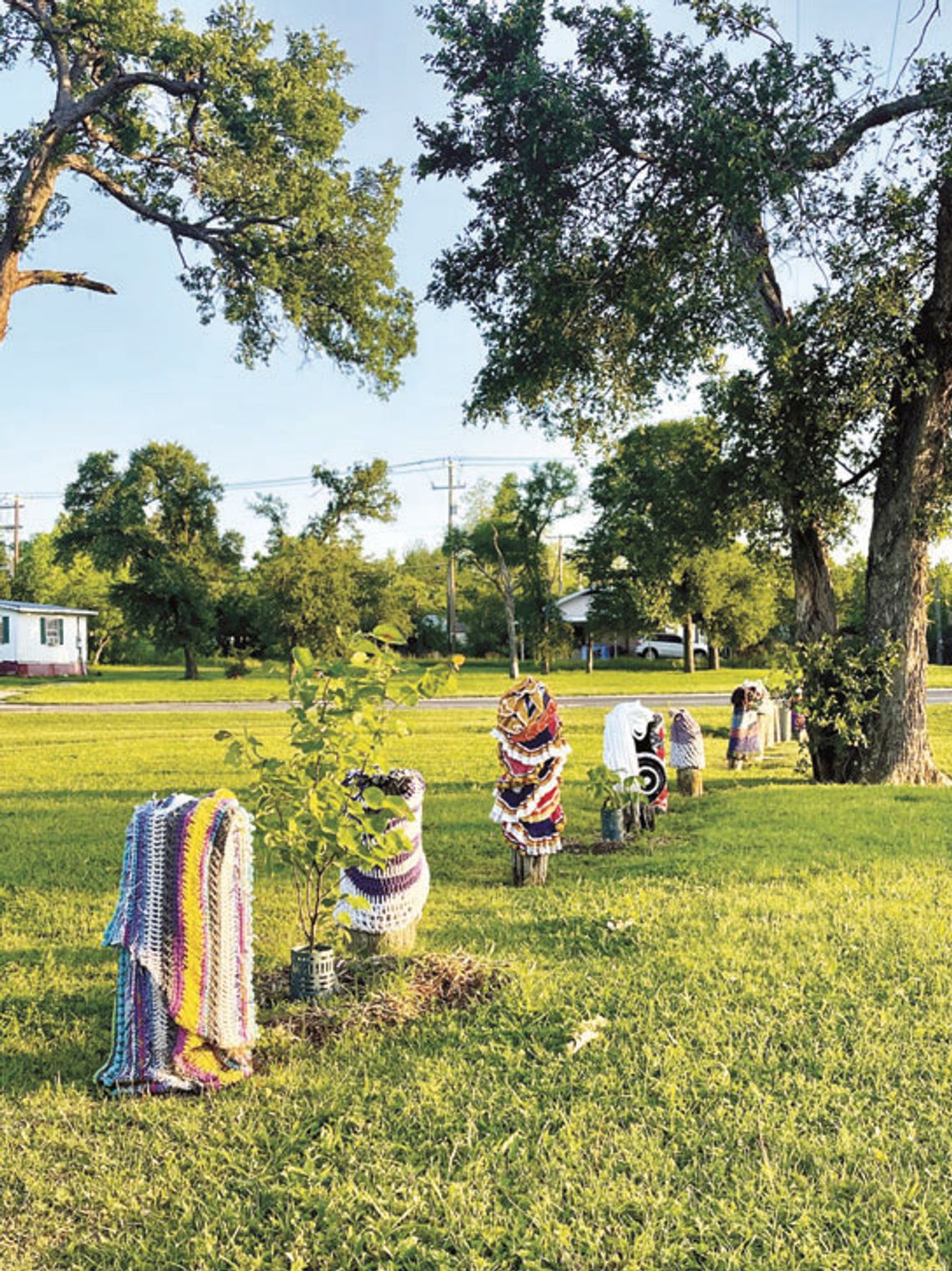 Artists bomb local park