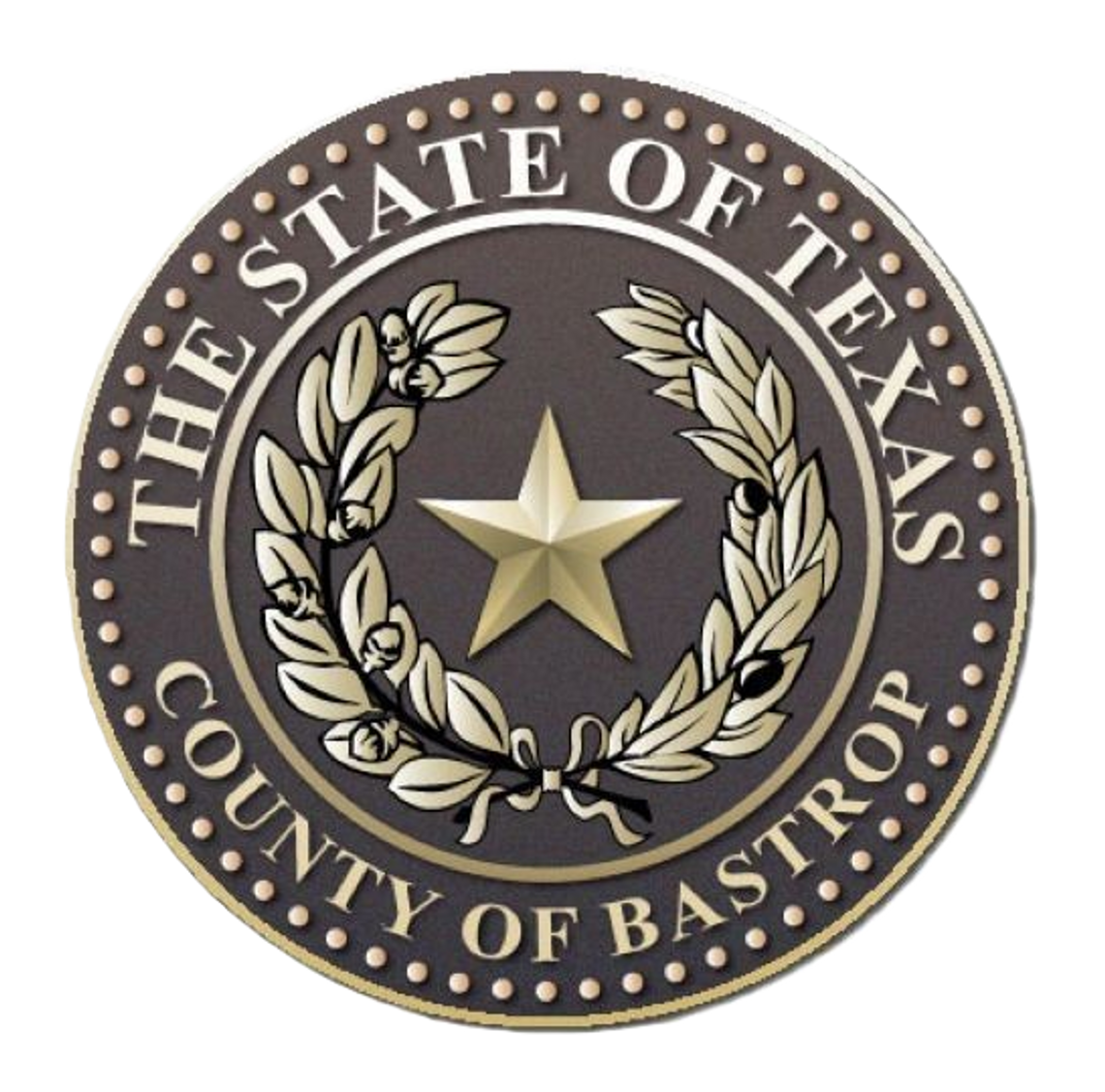BASTROP COUNTY JAIL LOG