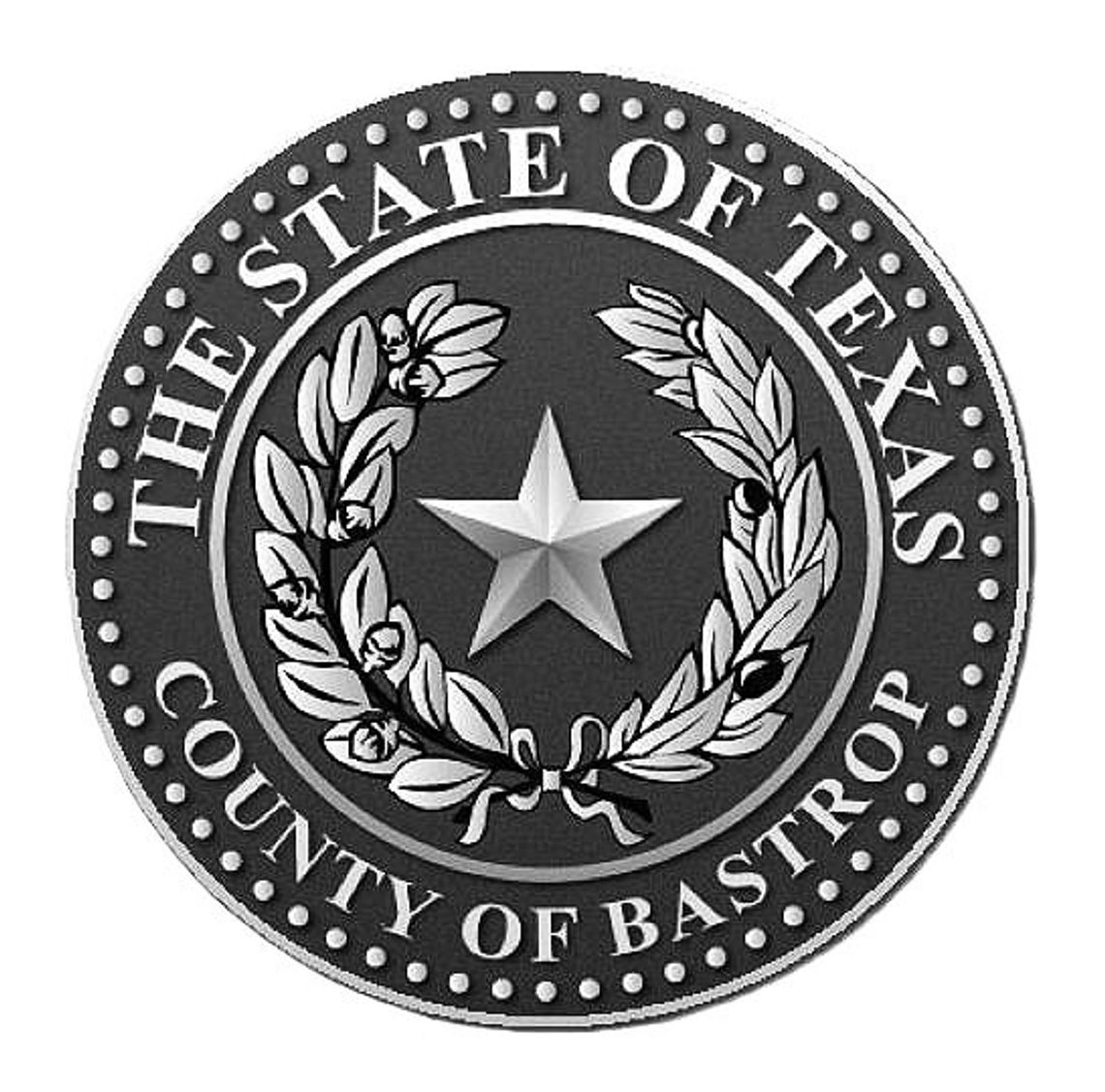 BASTROP COUNTY JAIL LOG