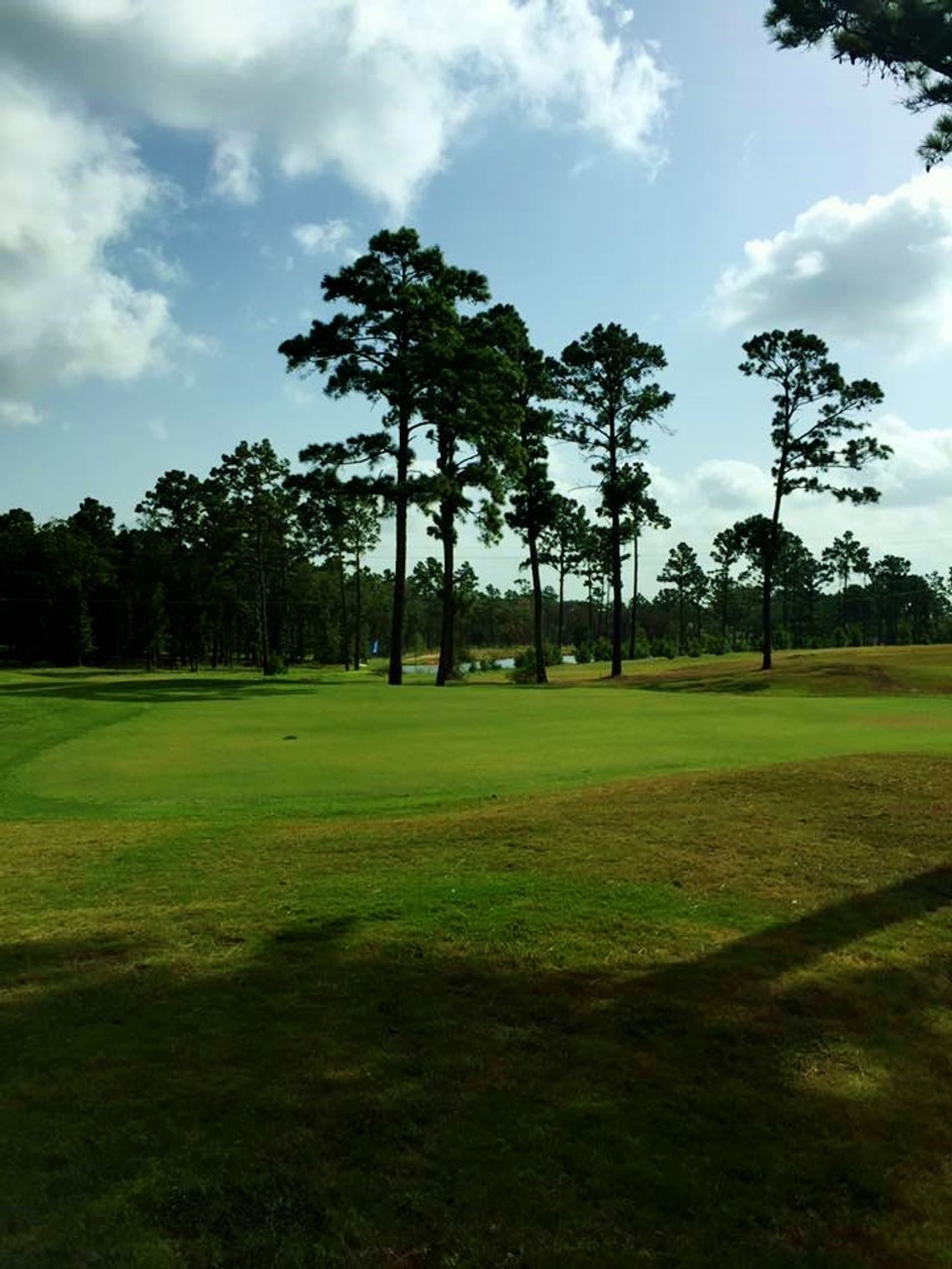 Bridge facelift, par-3 course in play for Bastrop