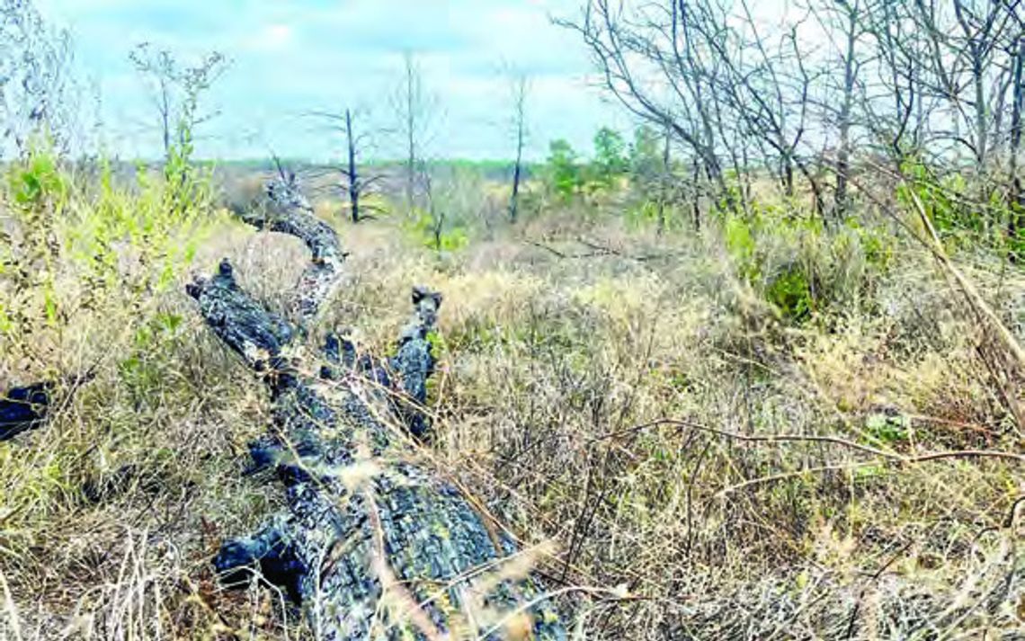 Burn ban expires after 97 days