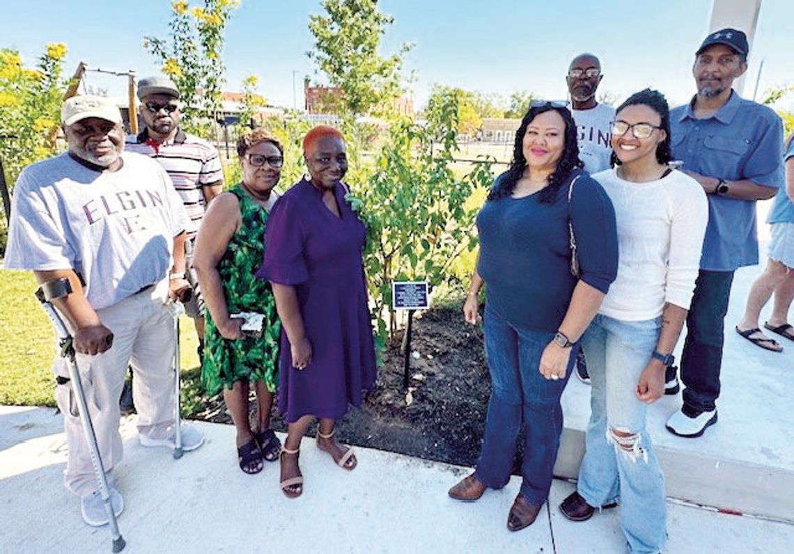 Deep roots Deep roots