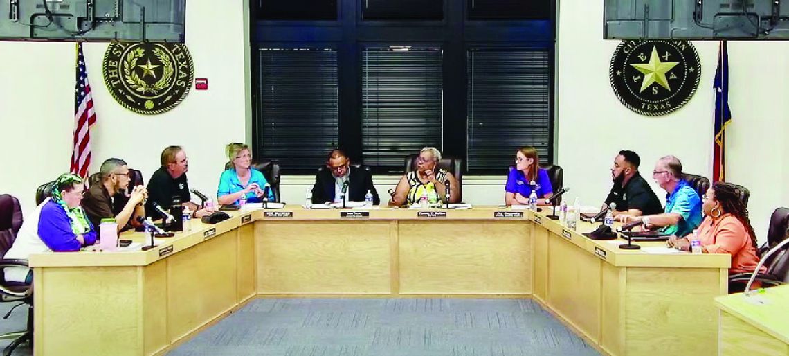 Elgin EDC director removed