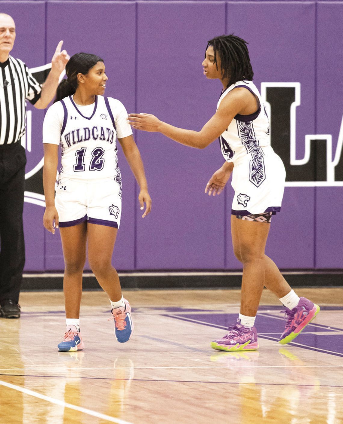 Elgin girls hoops named all-district