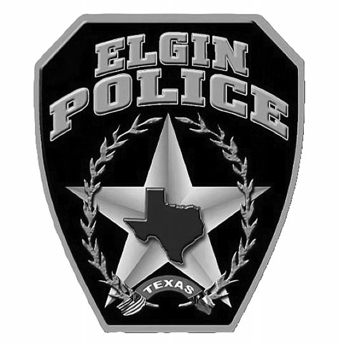 ELGIN POLICE DEPARTMENT BLOTTER