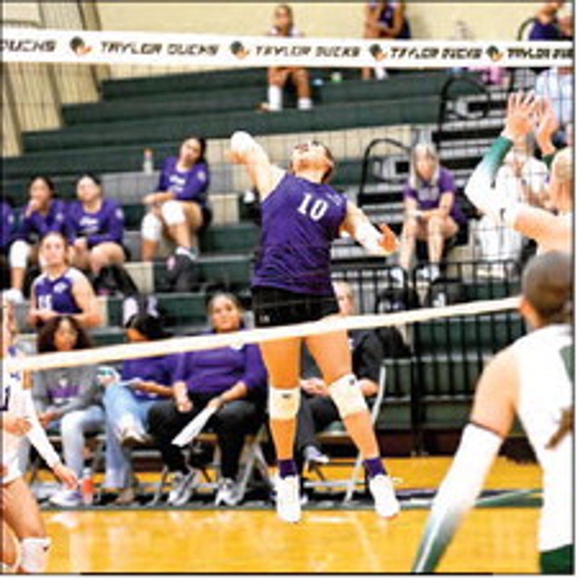 Elgin takes Taylor, salvages rough tournament opening Elgin takes Taylor, salvages rough tournament opening