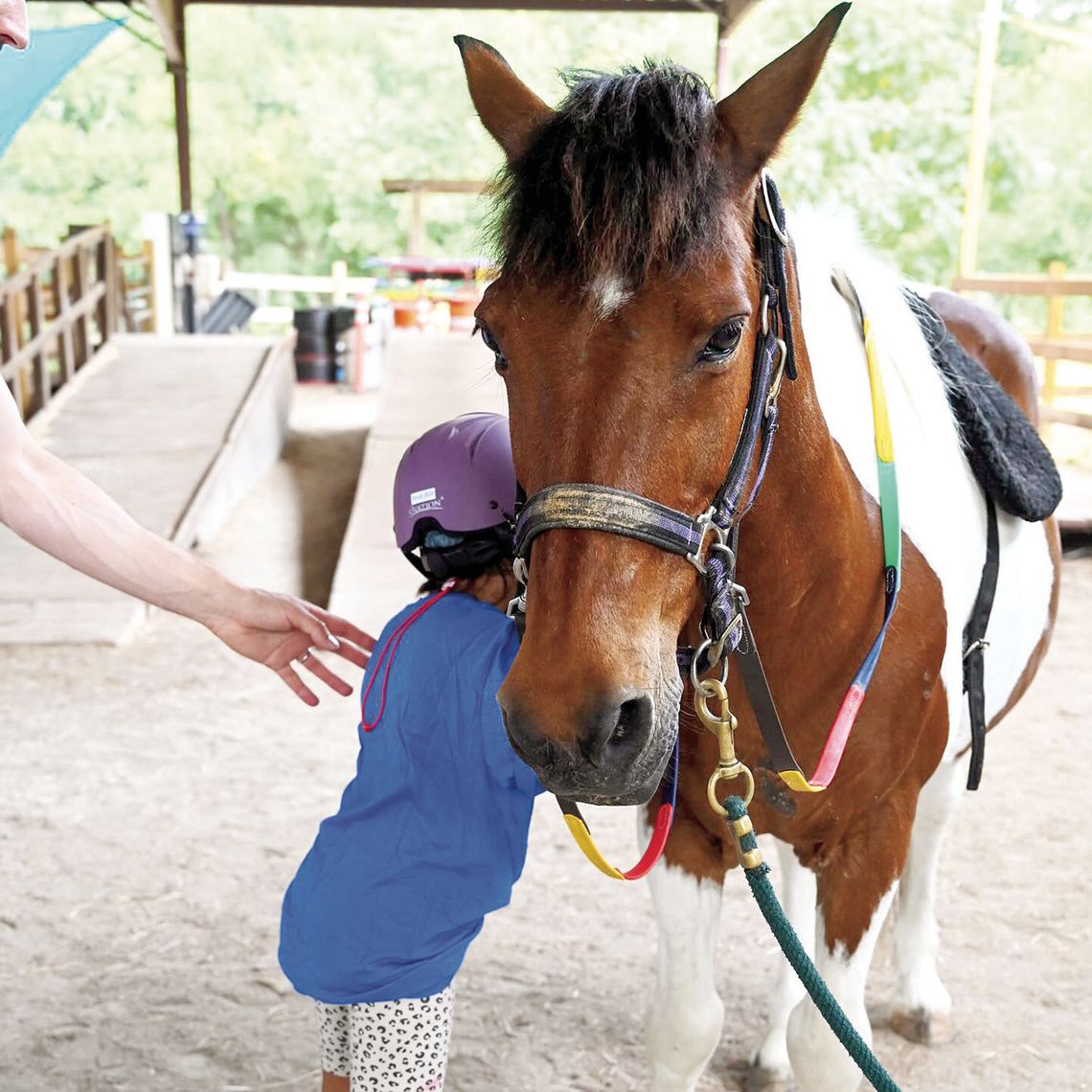 Equine-assisted therapy, free-of-charge