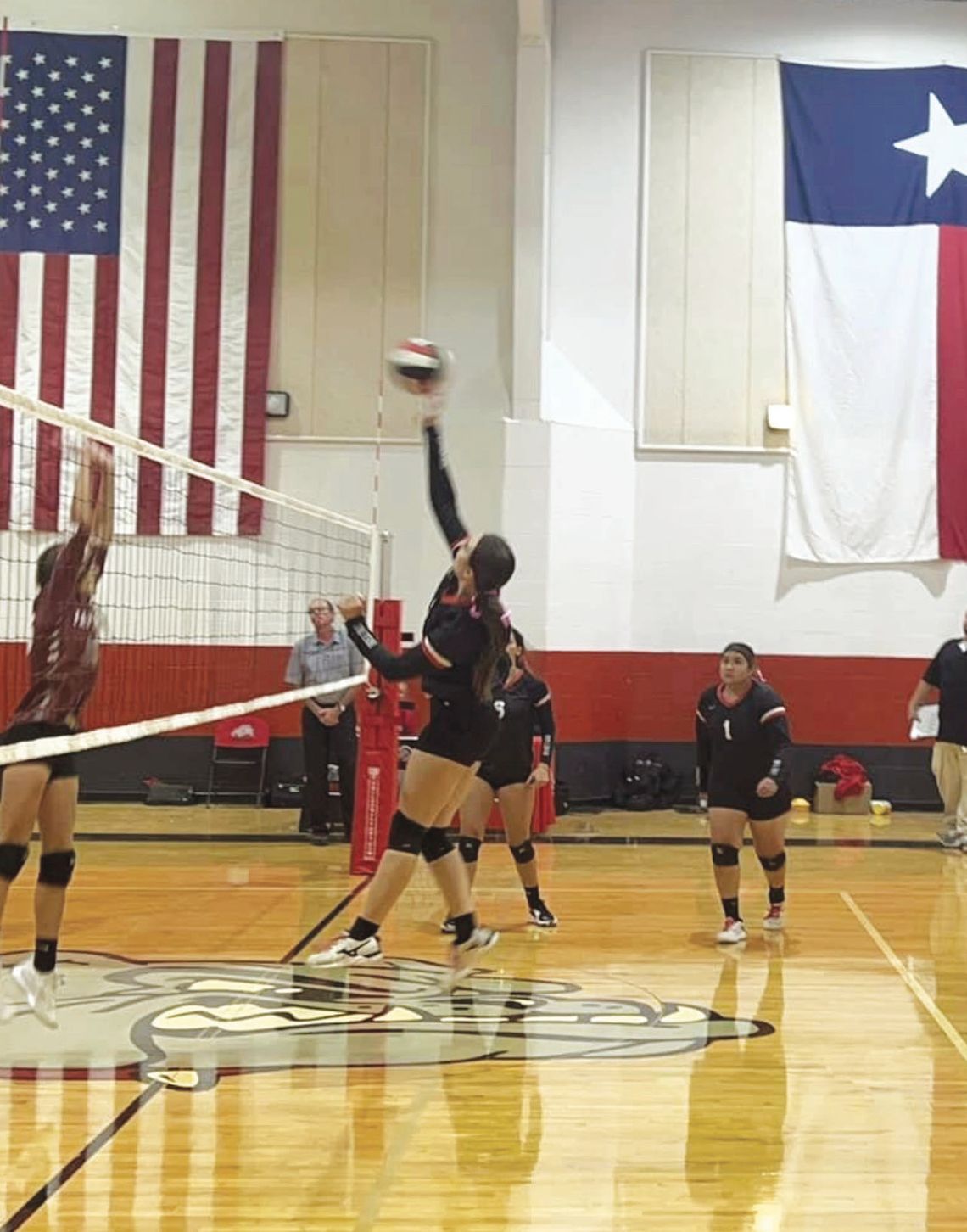 Lady Bulldogs VB drops two matches