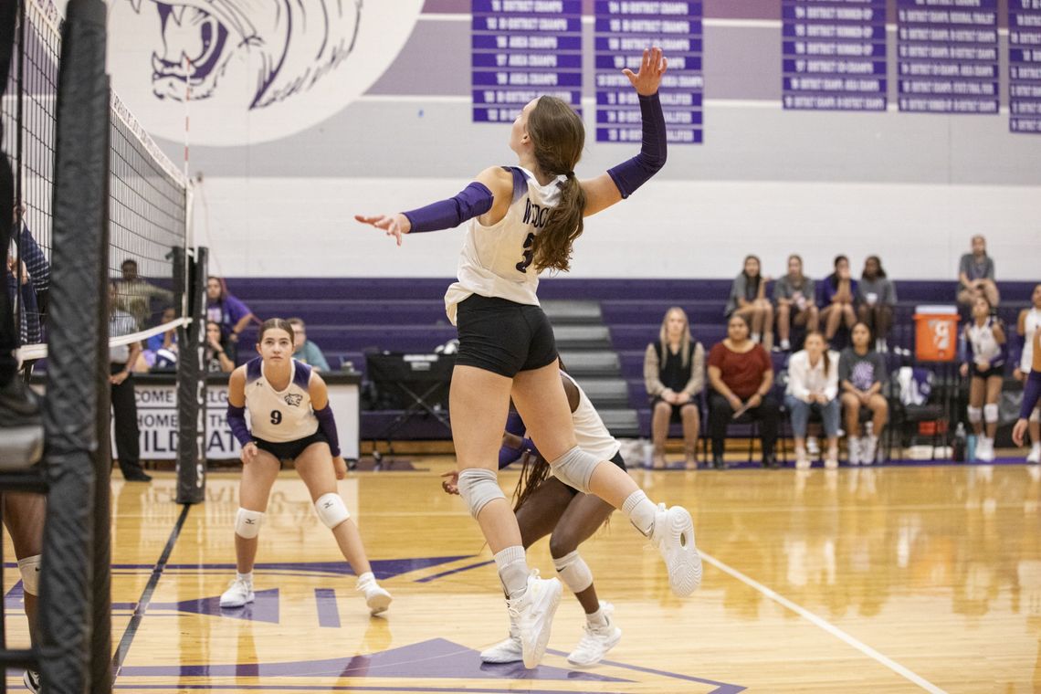 Lady Cats fall in straight sets to Panthers