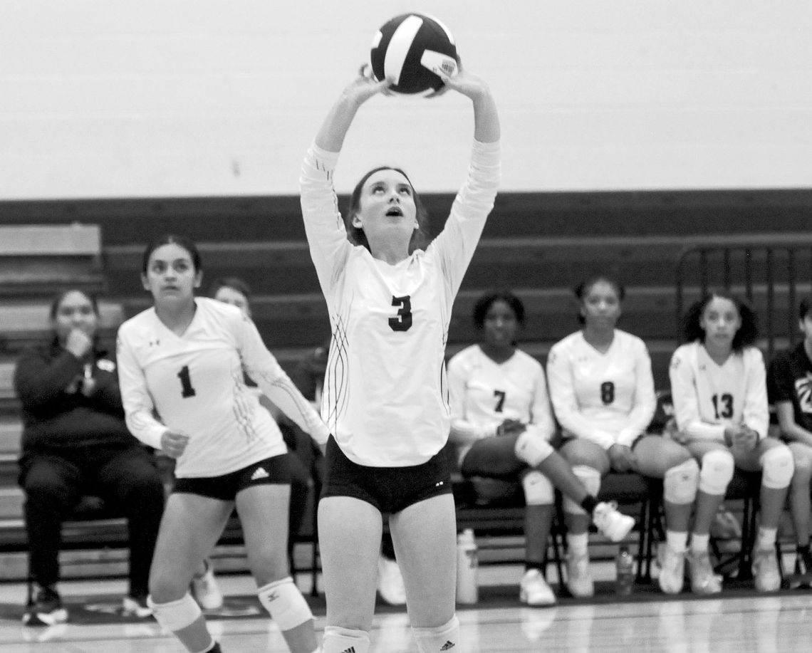 Lady Cats release 2025 volleyball schedule