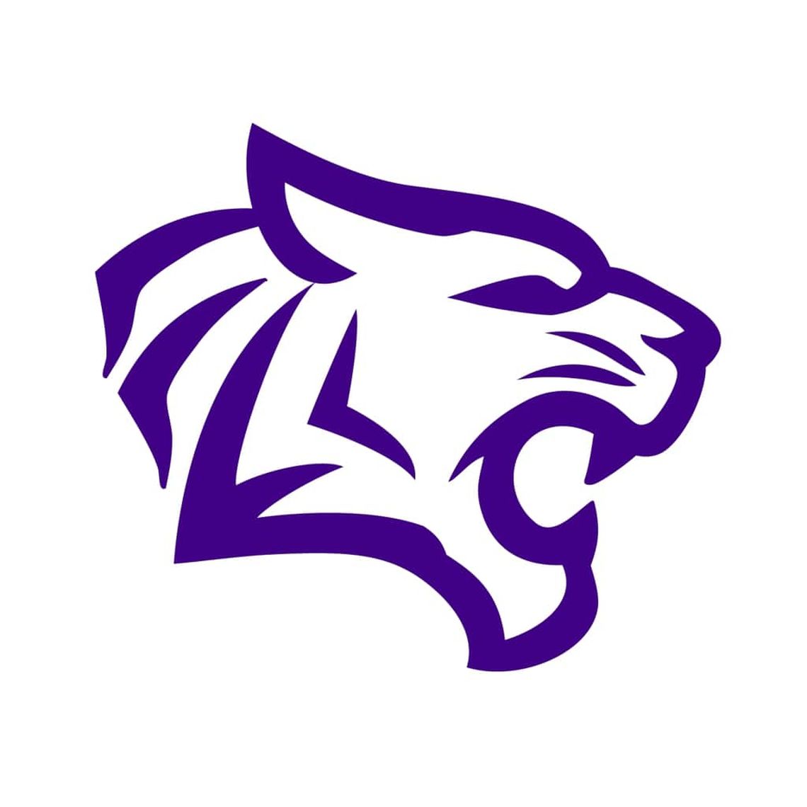 Lady Cats release 2025 volleyball schedule