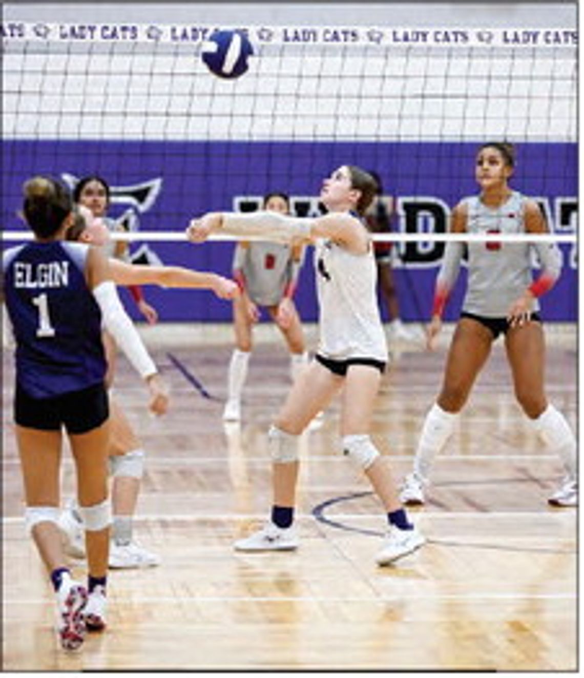 Lady Wildcats conquered by Weiss Lady Wildcats conquered by Weiss