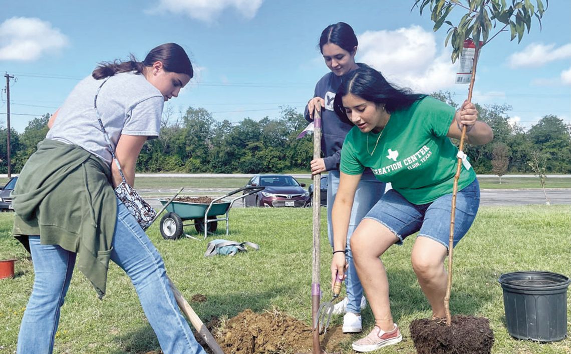 Memorial Park gets greener