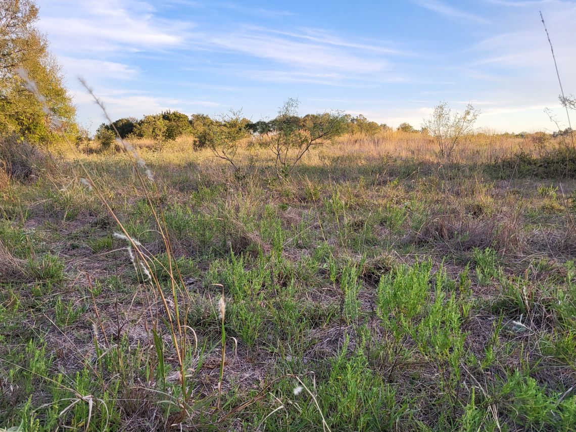 Prairie project turns back clock on Paige ranch. Part 1