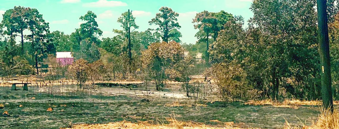 Prescribed fires return to state parks to reduce risk
