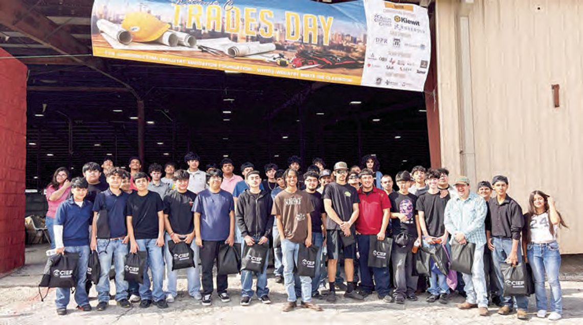 Professional experience for P-TECH