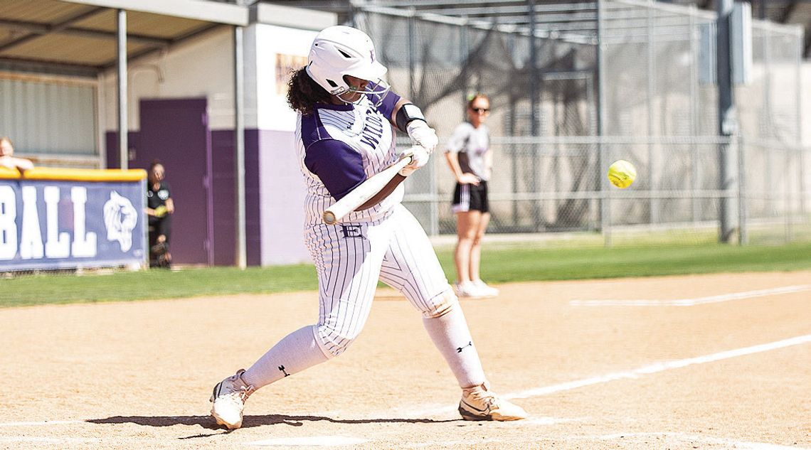 Sandoval, Galindo named to all-state team