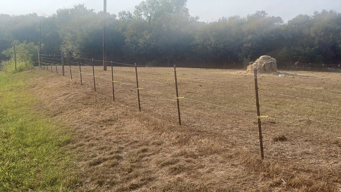 Sheriff: Man killed by bull he raised