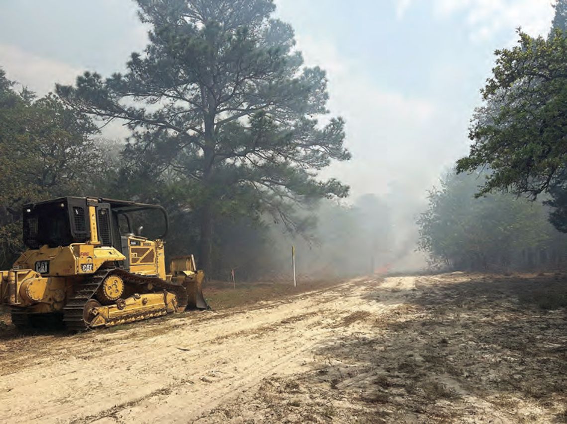 Wildfire scorches 13 acres
