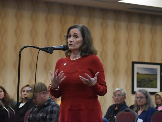 Mayor Connie Schroeder voices comments during a Texas Commission on Environmental Quality meeting in Bastrop March 21. Photo by Fernando Castro