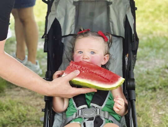 There’s no age restriction on watermelon. Photo by Niko Demetriou