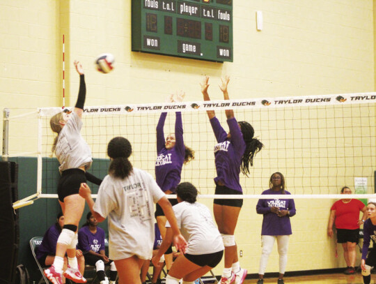 Lady Wildcats varsity volleyball head coach Patricia Rivers-Taylor watches two of her players block at the net on Aug. 5 during an Elgin scrimmage against Taylor High School. Photo by Andrew Salmi