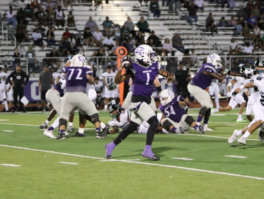 Wildcats varsity football senior quarterback Nathen Lewis throws to a receiver downfield on Sept. 22 during Elgin’s 50-28 victory on Homecoming over Pflugerville Connally High School. Photo by Zoe Grames