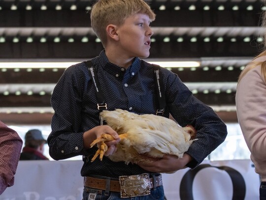 Reserve Champion for pullets and cockerels Preston Maass, presenting his bird for Elgin Future Farmers of America.